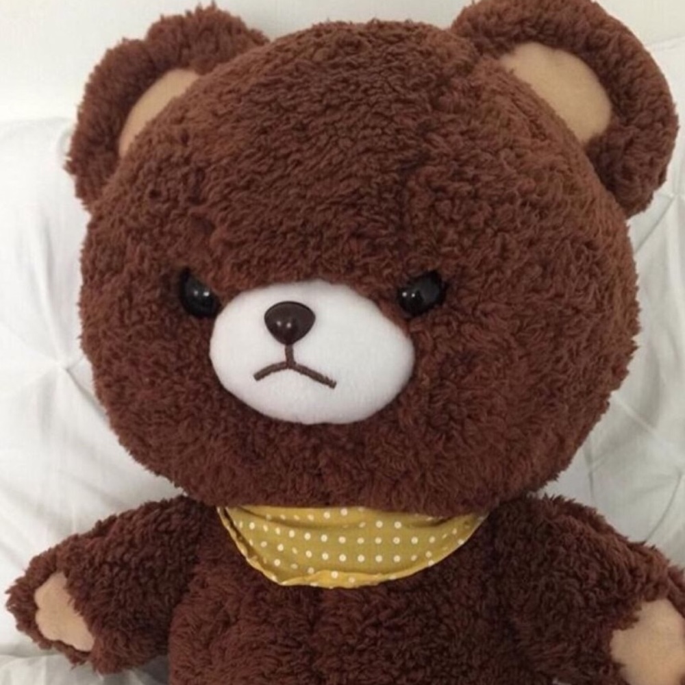 Meet your Posher, Carlos